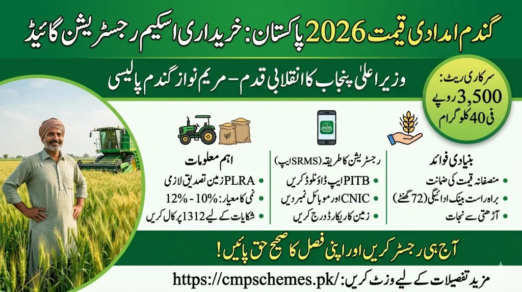 1 kg wheat price in Pakistan today