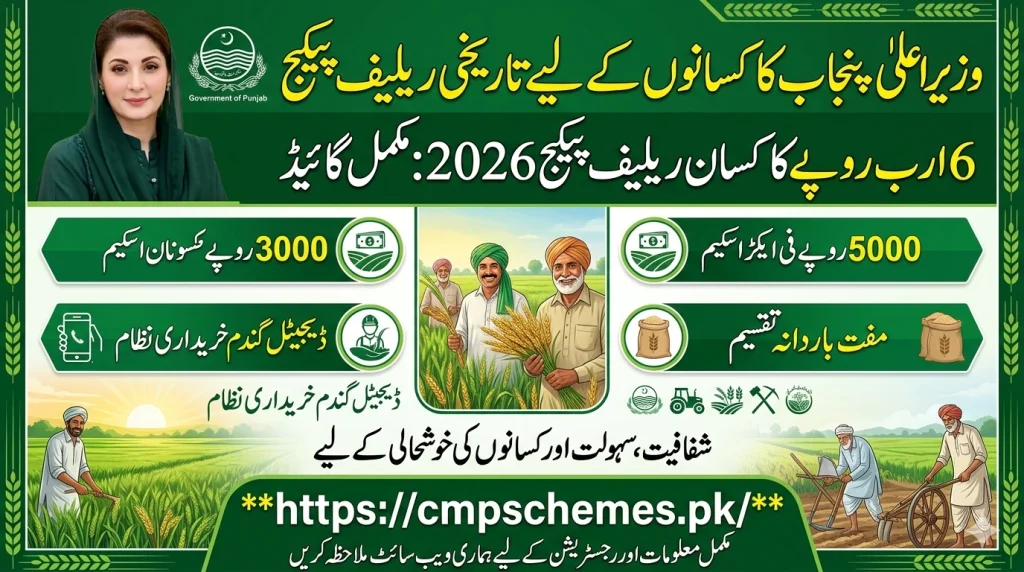 CM Maryam Announces Rs 6 Billion Relief Package