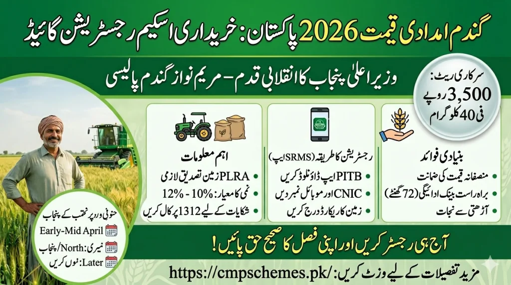 wheat support price 2026 pakistan
